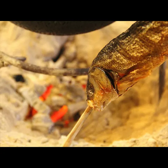 Ảnh Ogano Onsen Echigoya Ryokan (Saitama)