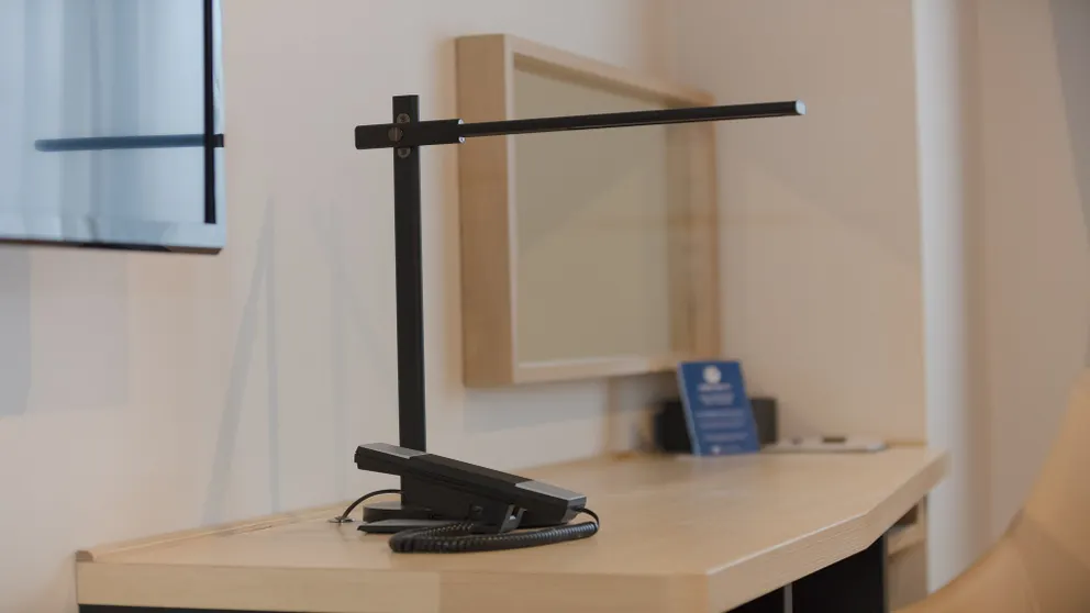 Ảnh Ariston Hotel Kyoto Jujo