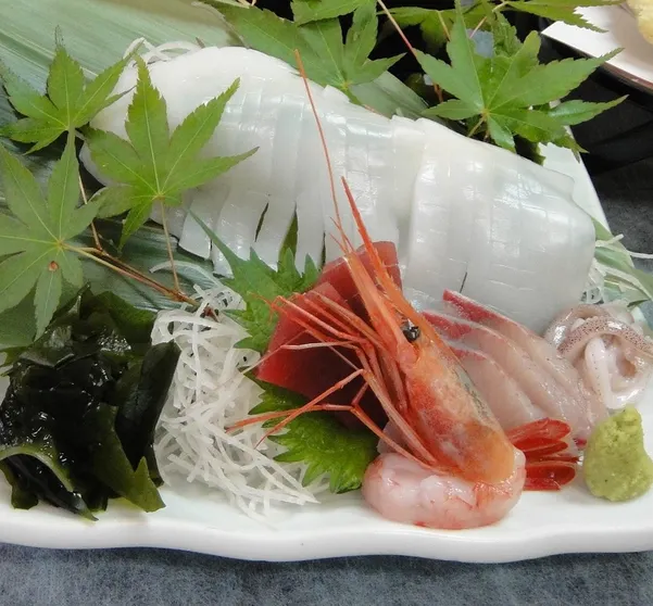 Ảnh Hamasaka Onsen Totoya