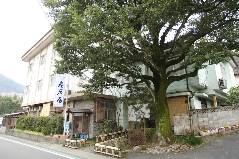 Ảnh Hana Ryokan Iwatoya