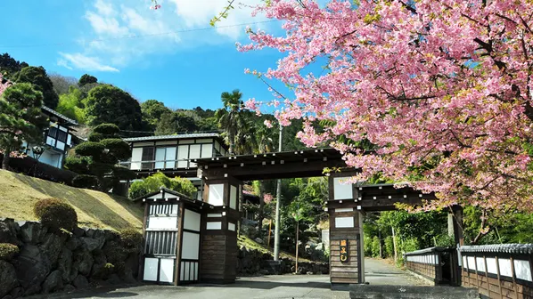 Ảnh Ito Onsen Yokohama Fujiyoshi