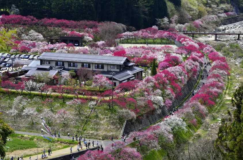 Ảnh Tsukikawa Onsen Noguma no Sho Gessen