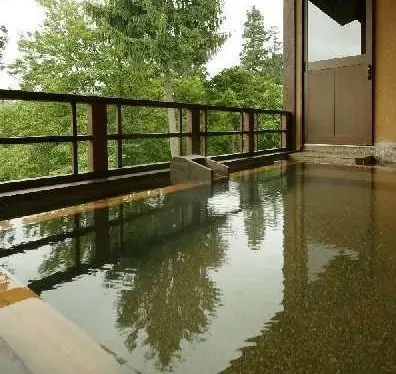 Ảnh Myoko Onsen Hotel Kofukan