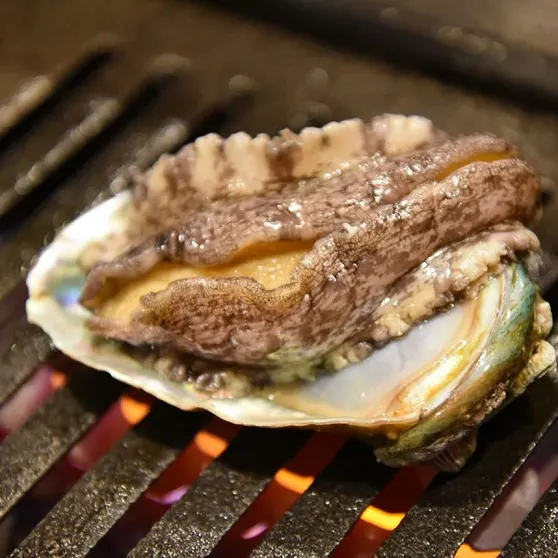 Ảnh Shimoda Juraku Hotel