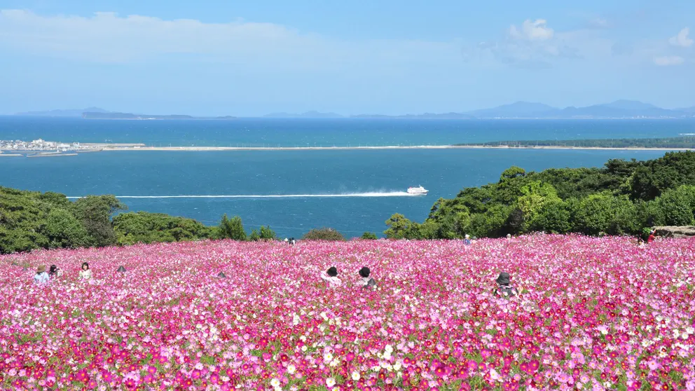 Ảnh Hotel Marinoa Resort Fukuoka