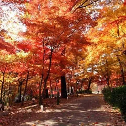 Ảnh Shikinoyu Onsen Hotel Heritage