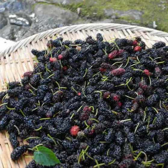 Ảnh Hanareya Ishidaya