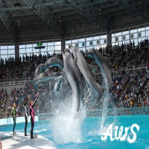 Ảnh Kurhouse Shirahama