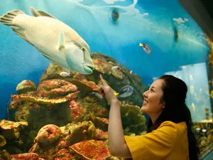 Ảnh Hiyoriyama Onsen Hotel Kinparo