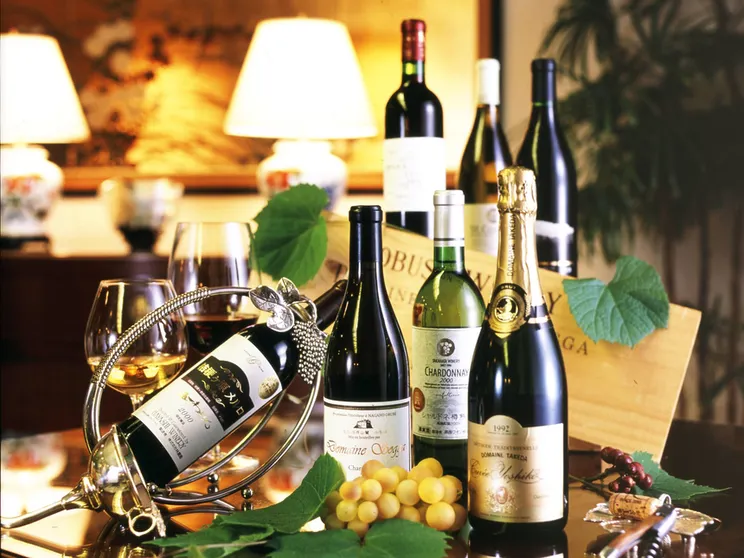 Ảnh Hakuba Resort Hotel La Neige Higashikan