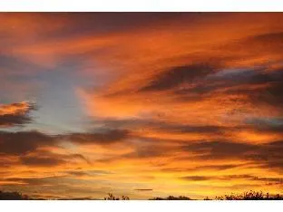 Ảnh Agri in Holiday