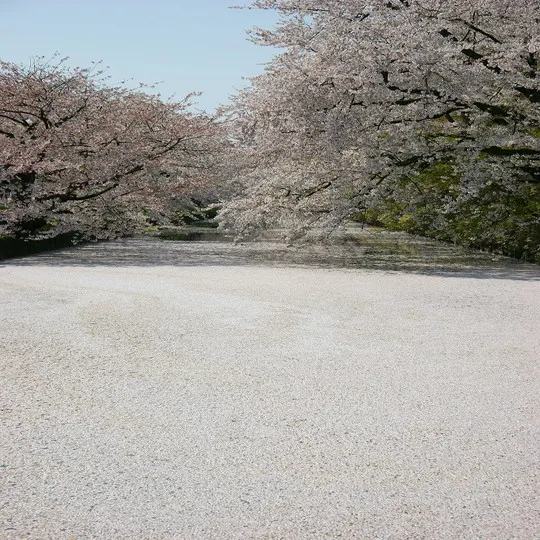 Ảnh Smile Hotel Hirosaki