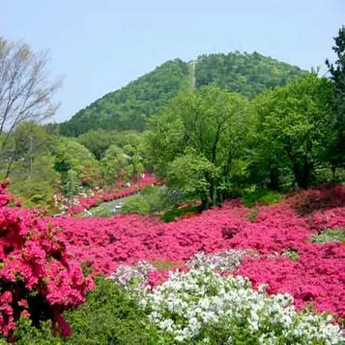 Ảnh Minami Izu Yumigahama Onsen Kominka no Yado Sankai