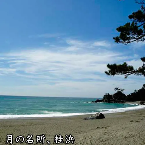 Ảnh Orient Hotel Kochi