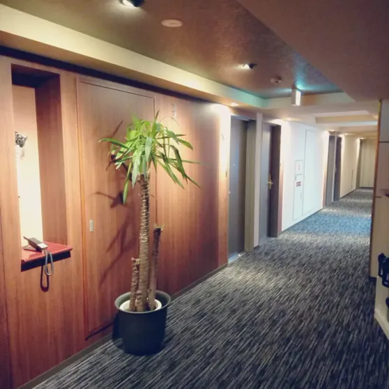 Ảnh Queen's Hotel Chitose