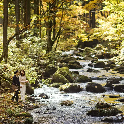 Ảnh Takayama Ryujin Onsen Ryu Resort & Spa