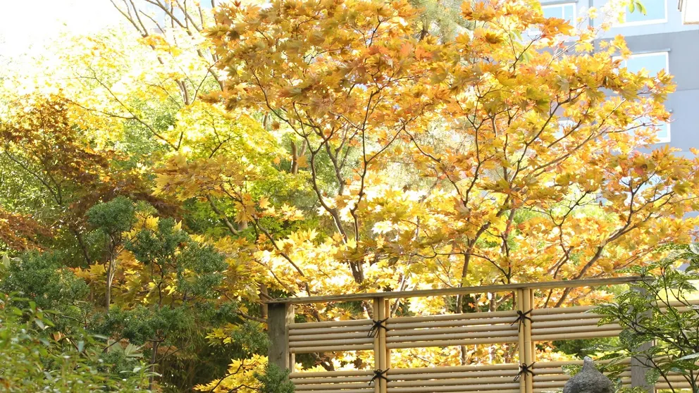 Ảnh Yunokawa Onsen Hanabishi Hotel