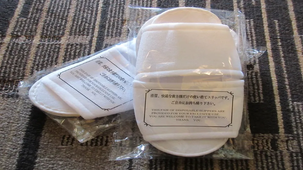 Ảnh Sotetsu Fresa Inn Kawasaki-Higashiguchi