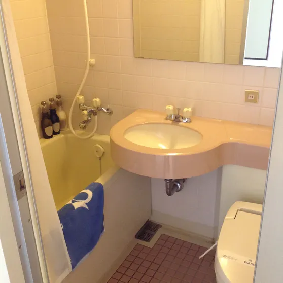 Ảnh Okayama Plaza Hotel