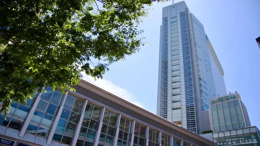 Ảnh Shibuya Excel Hotel Tokyu