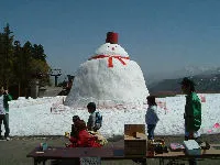 Ảnh Hotel Alpha Star Iwappara