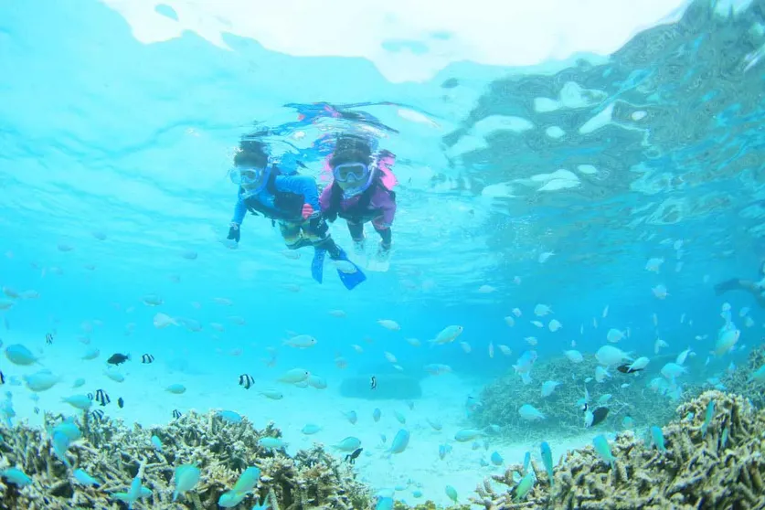 Ảnh Painushima Resort Coral Fish