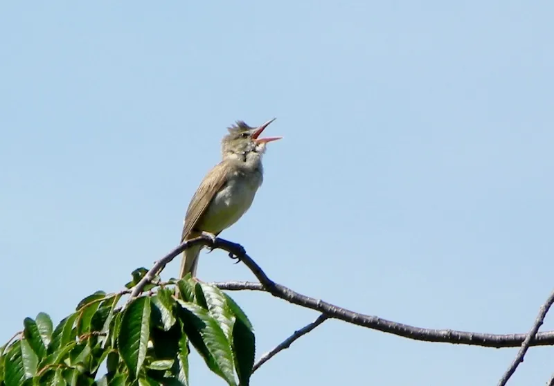 Ảnh Fuji Lake Hotel