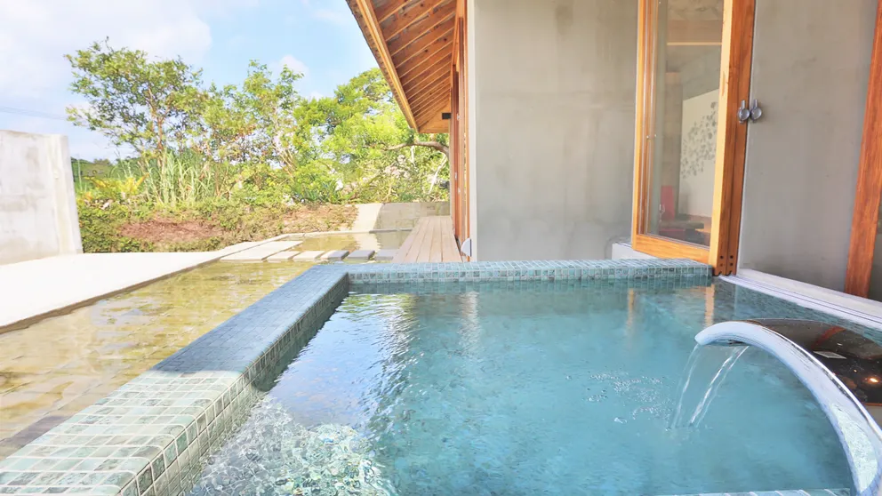 Ảnh Kawasemi No su