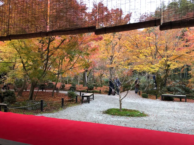 Ảnh Citadines Karasuma-Gojo Kyoto