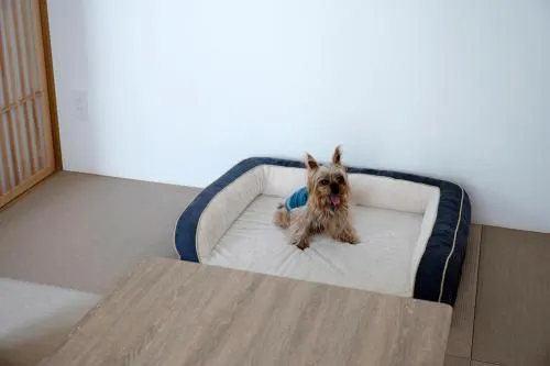 Ảnh Atagawa Ocean Resort