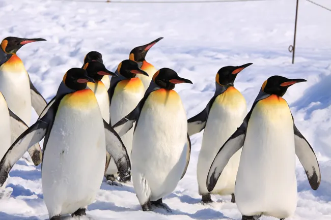 Ảnh Smile Hotel Asahikawa