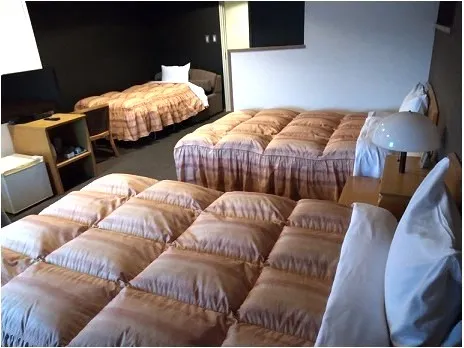 Ảnh Marugame Plaza Hotel