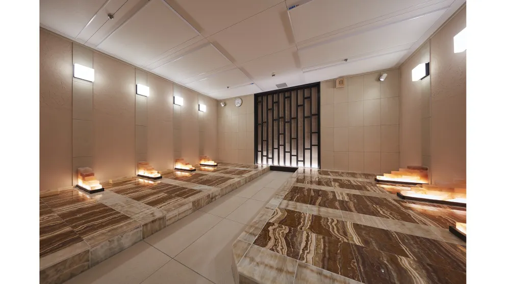 Ảnh Hotel Villa Fontaine Premier Haneda Airport