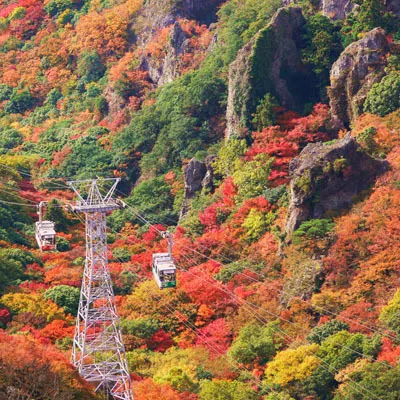 Ảnh Olivean Shodoshima Yuhigaoka Hotel