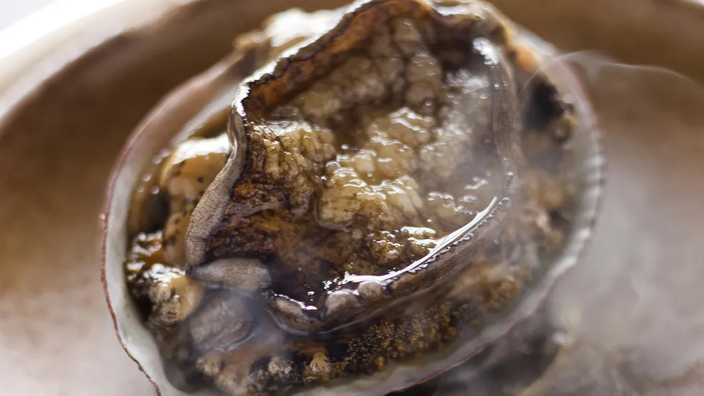 Ảnh Resort Ryokan Yadokari