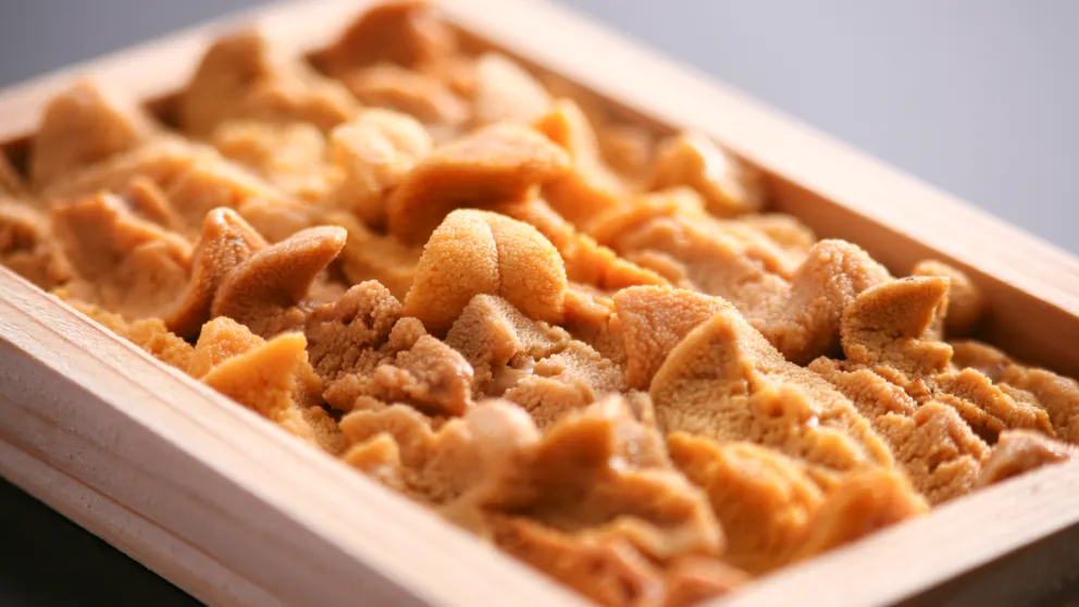 Ảnh Sumoto Onsen Yumesenkei Besso Amahara