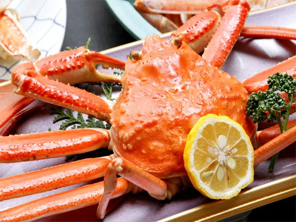 Ảnh Wakasaji no Yado Yamaya