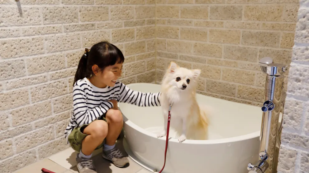 Ảnh Regina Resorts Kamogawa