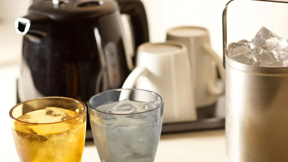 Ảnh Hotel Emisia Tokyo Tachikawa