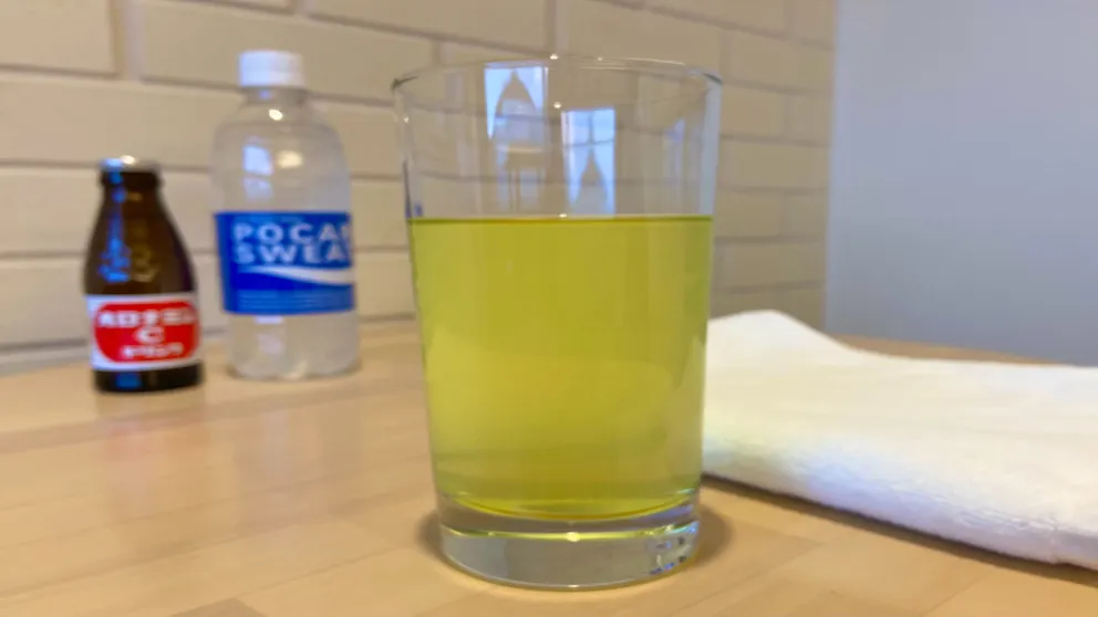 Ảnh Shonai Hotel Suiden Terrasse