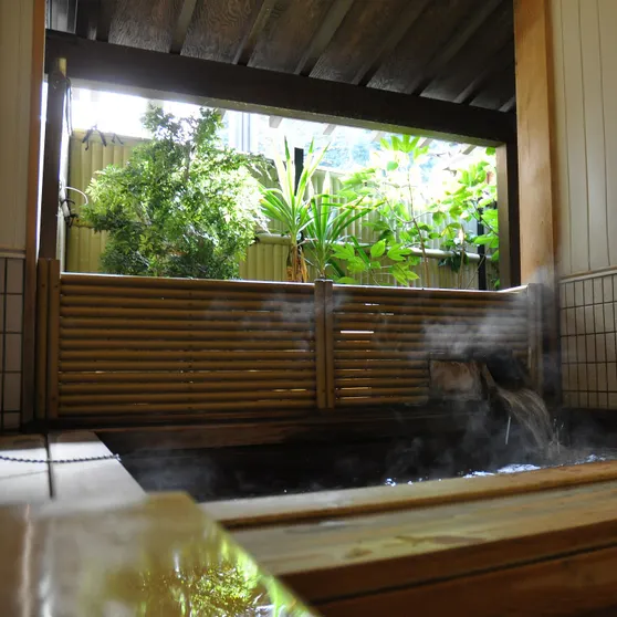 Ảnh Wakura Onsen Aji na Yado Housenkaku