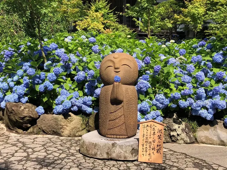 Ảnh Bettei Tsubaki