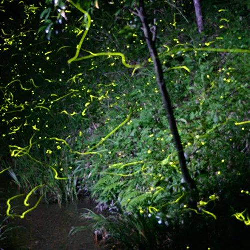 Ảnh Hotel & Resorts Nagahama