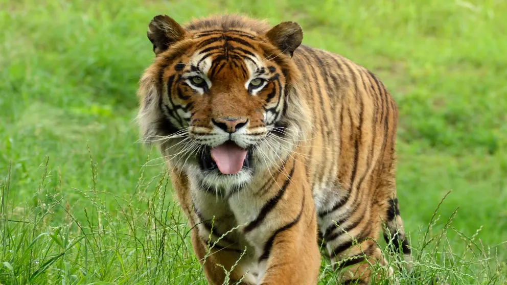 Ảnh Oita Regal Hotel