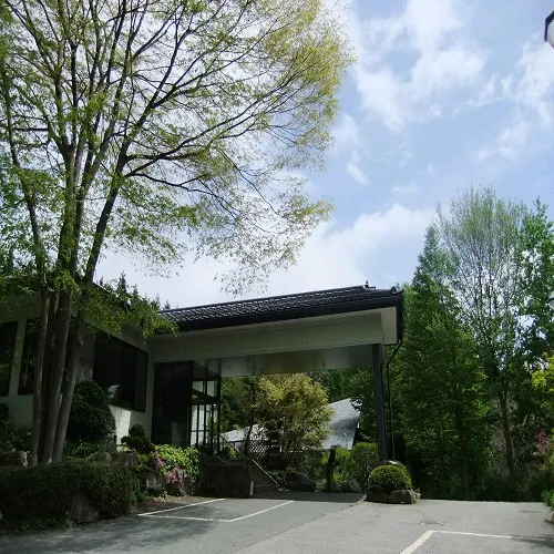 Ảnh Sarugakyo Onsen Hatago Shinden