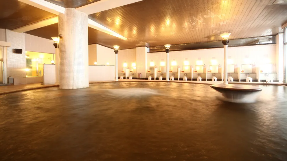 Ảnh Hotel Towadaso