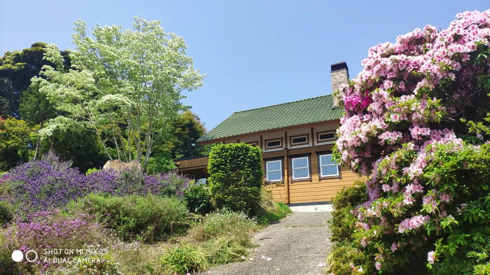 Ảnh Shimano Log House