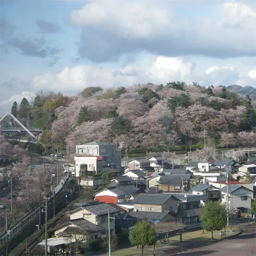 Ảnh Sabae City Hotel