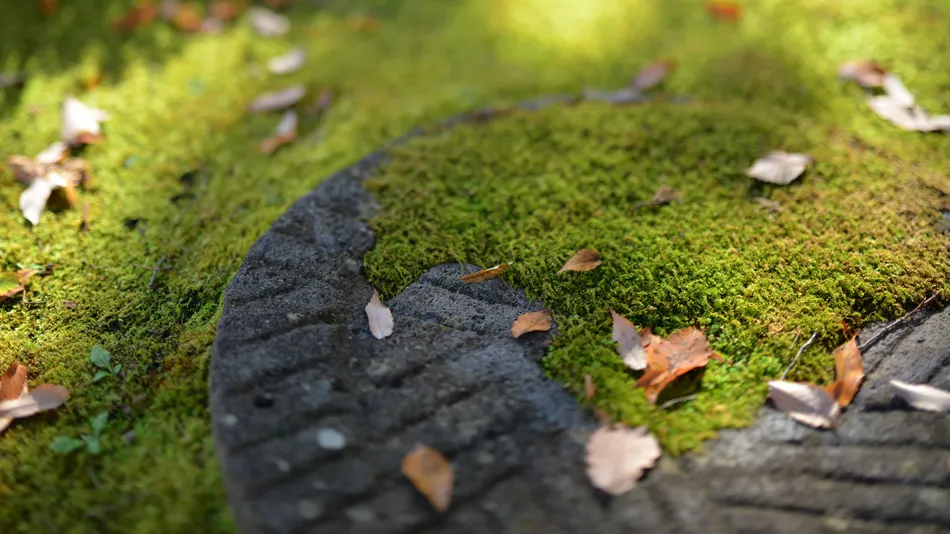 Ảnh Kamimoku Onsen Hatago Shouya