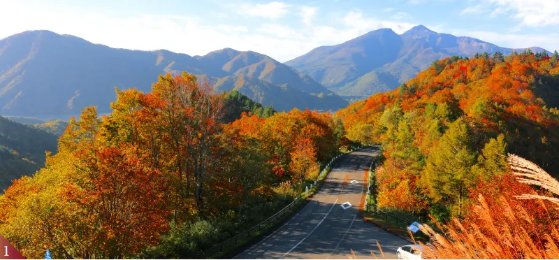 Ảnh Hotel Premiere Minowa
